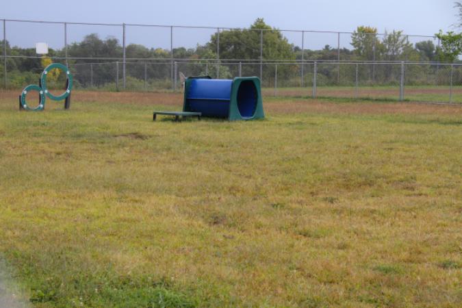 Covell Dog Park