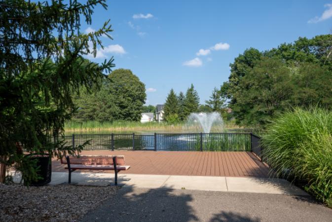 City Central Park