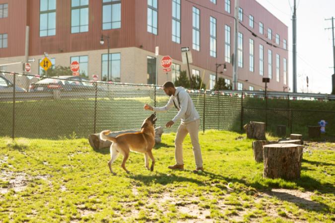 Downtown Dog Park Grand Rapids