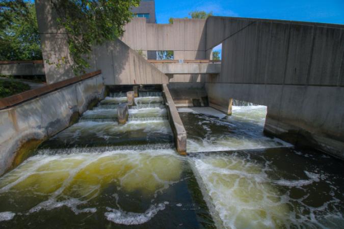 Fish Ladder Park