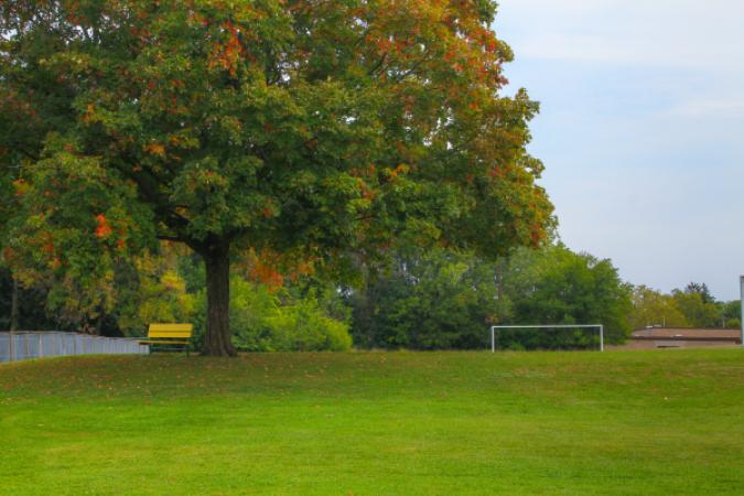 Hillcrest Dog Park
