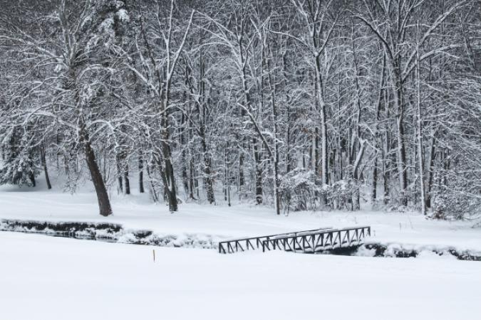 Palmer Park