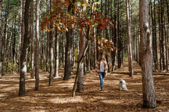 Provin Park Trail