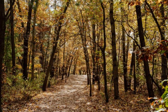 Provin Trails Park
