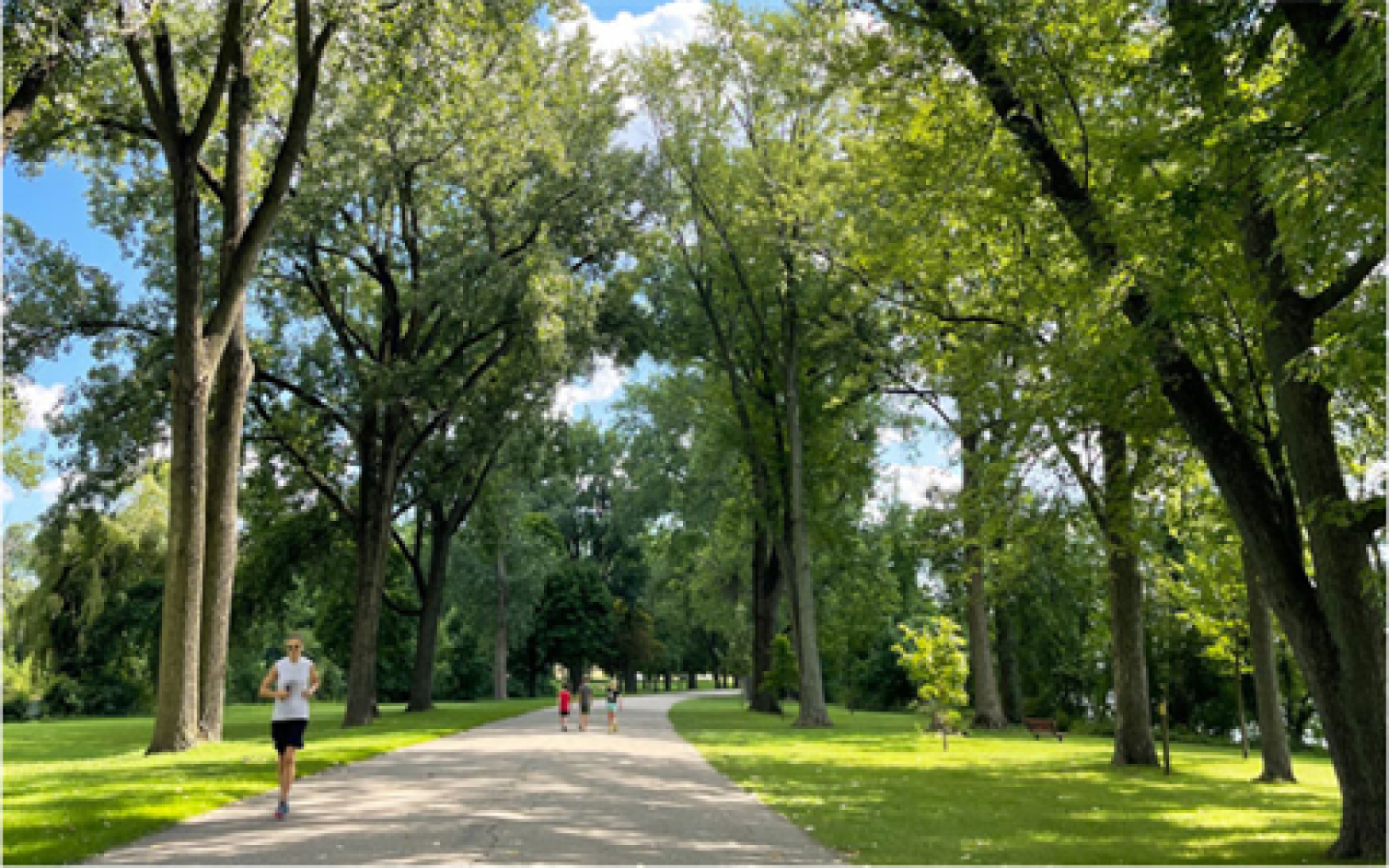 Parkrun
