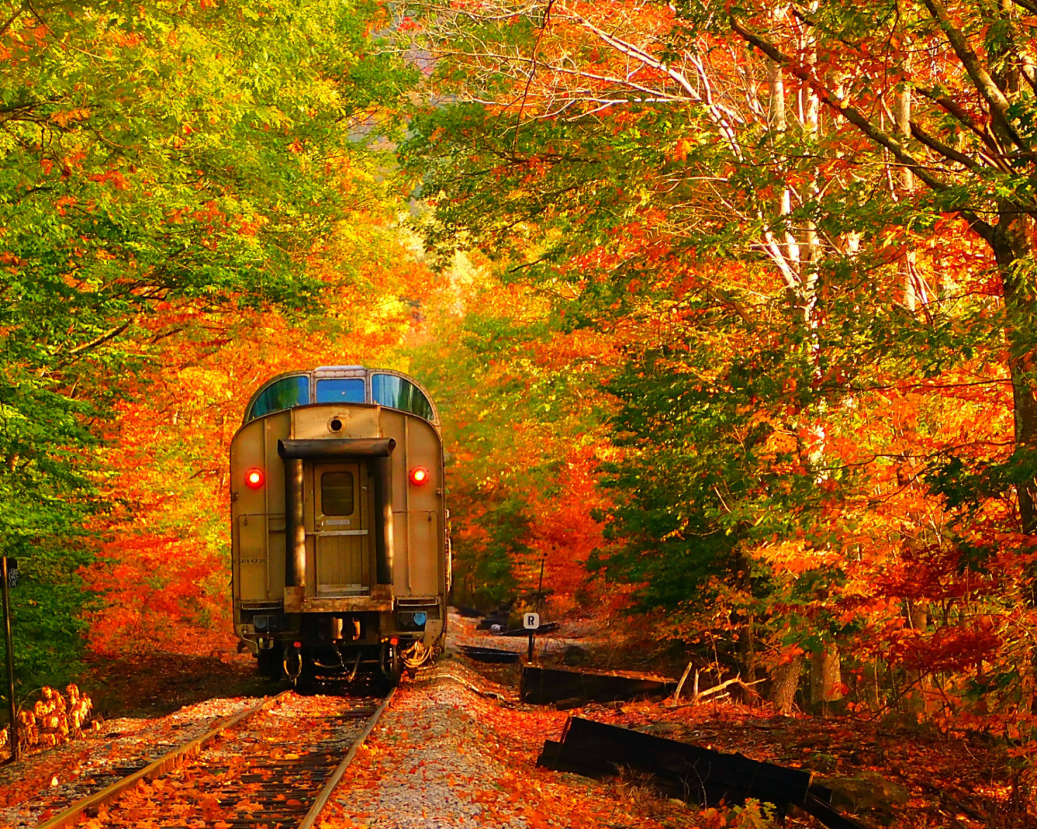 The Great Pumpkin Train