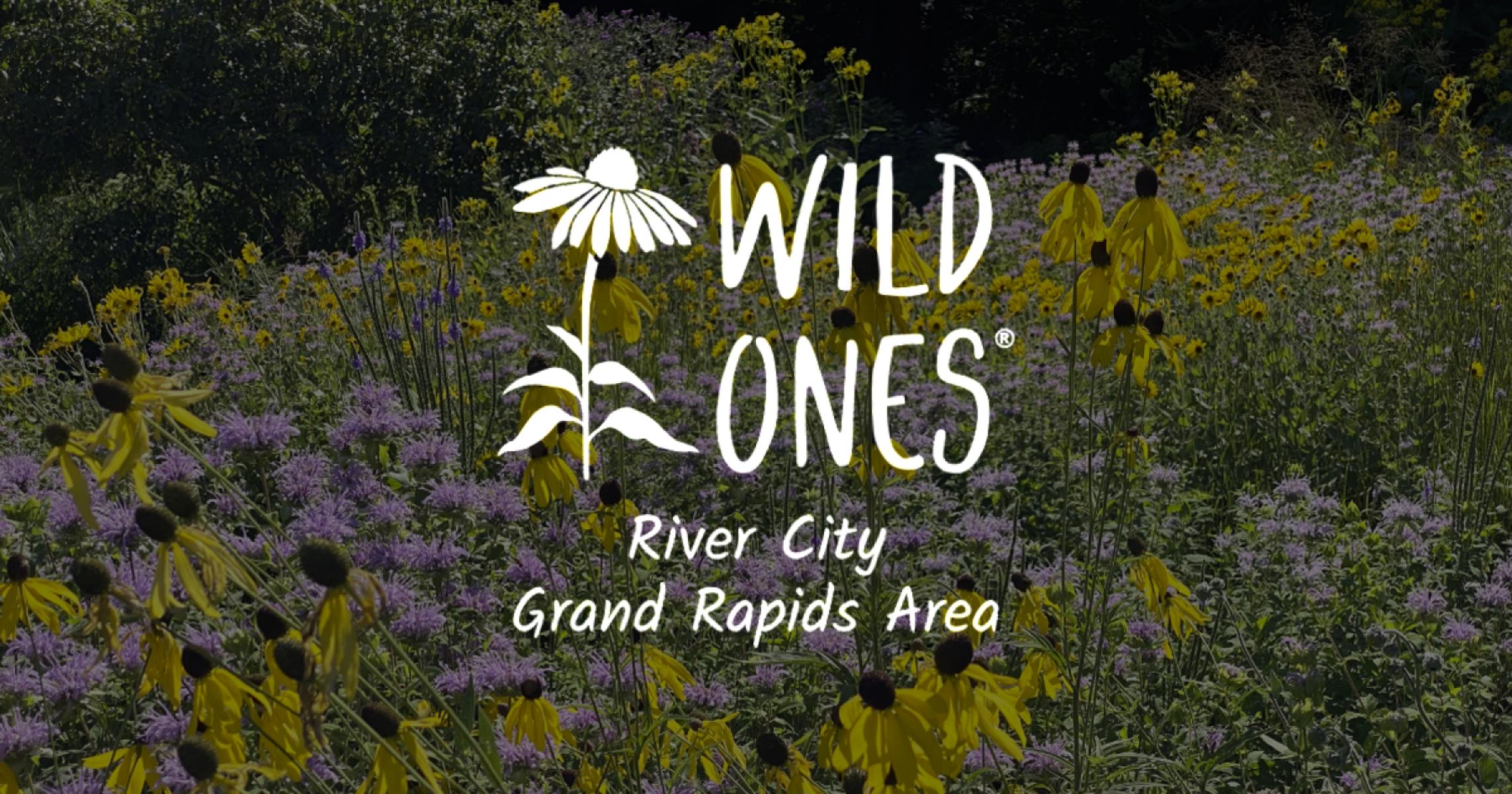 Plants & Pollinators with Wild Ones River City