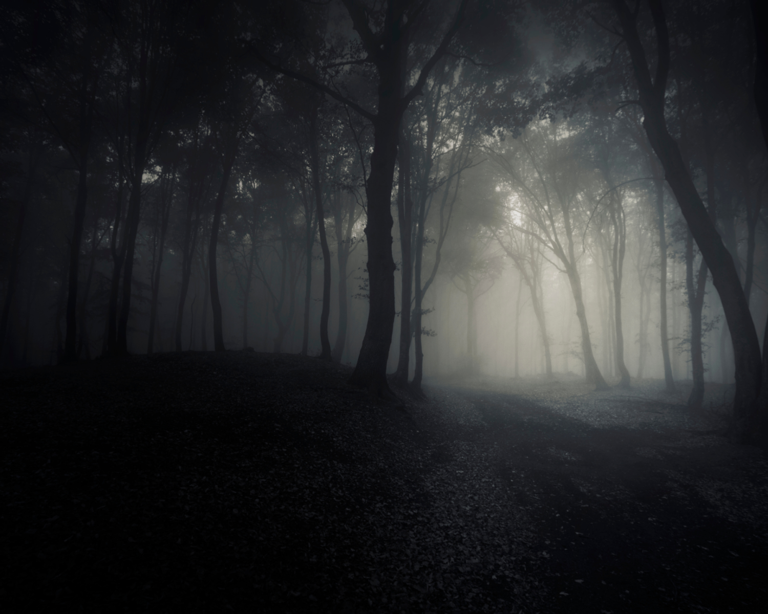 The Haunted Forest