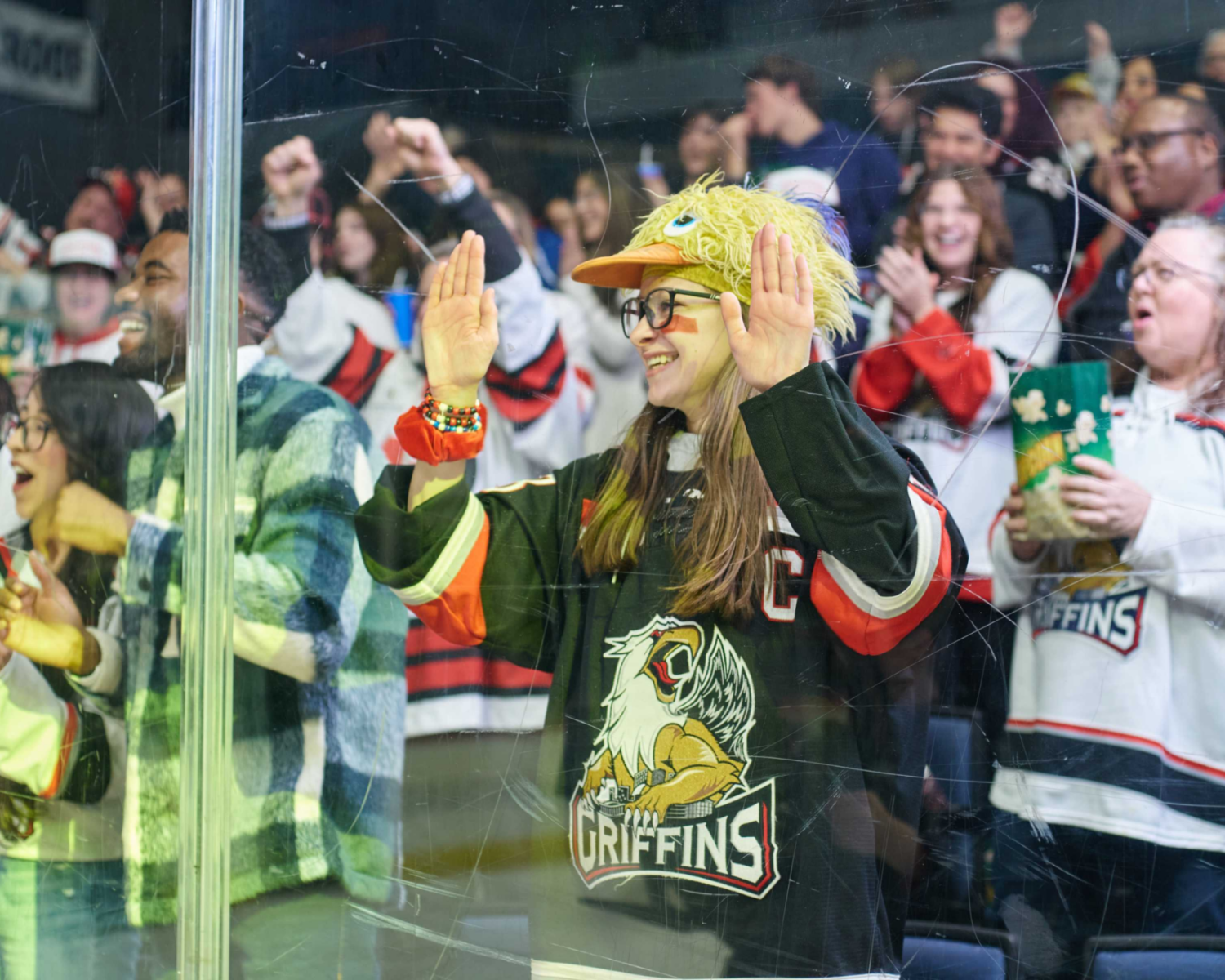 Grand Rapids Griffins VS Manitoba Moose