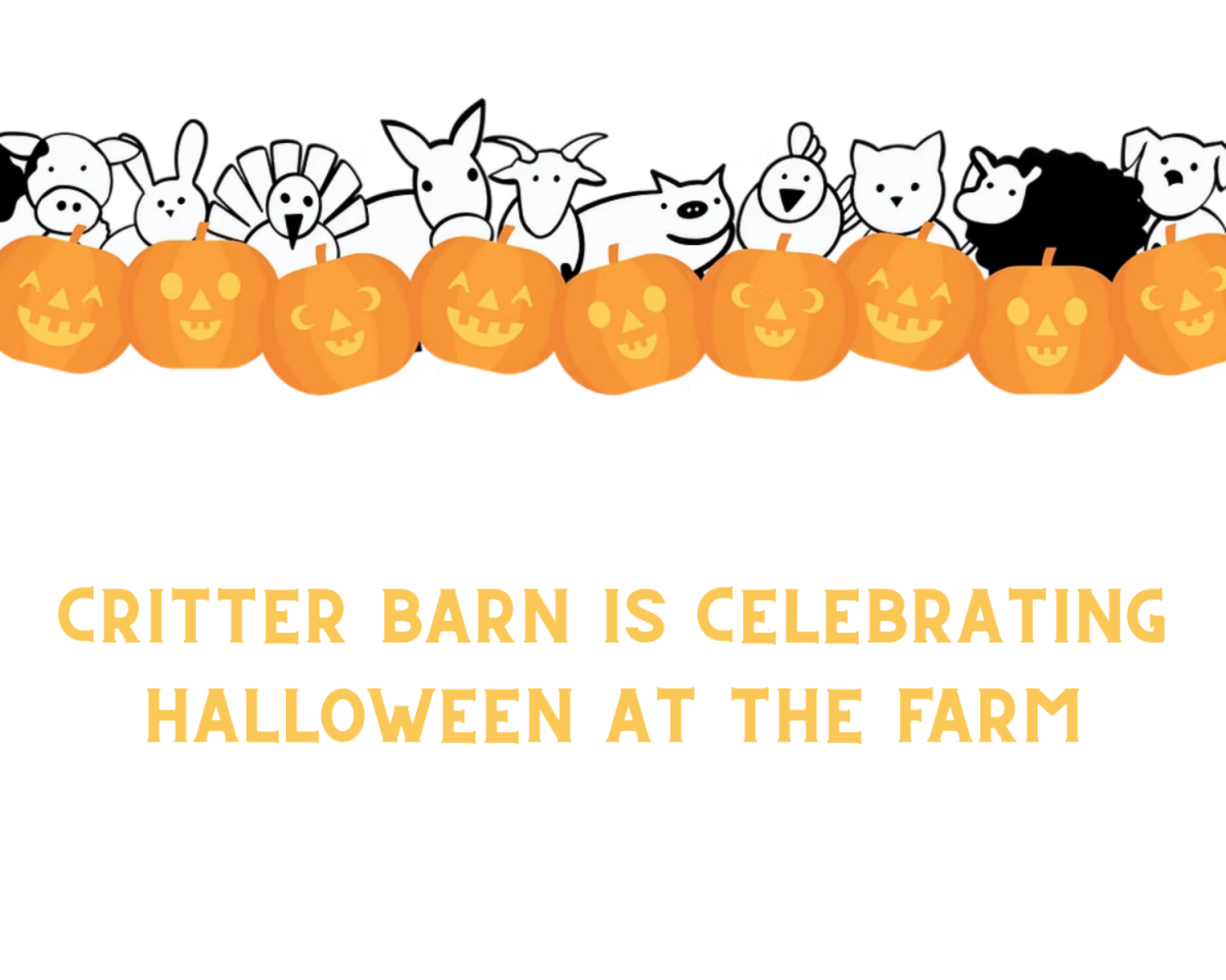 Boo at the Barn