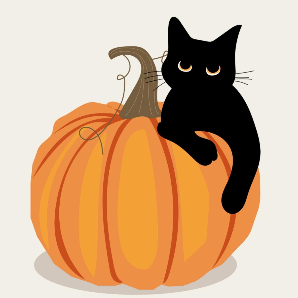 Cats & Carving: Carve Pumpkins With Cats!