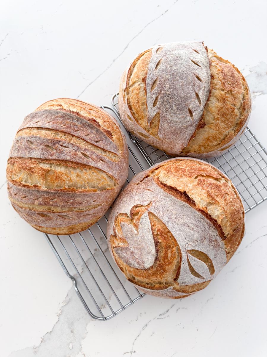 Sourdough for Beginners: A Hands-On Dough Party!