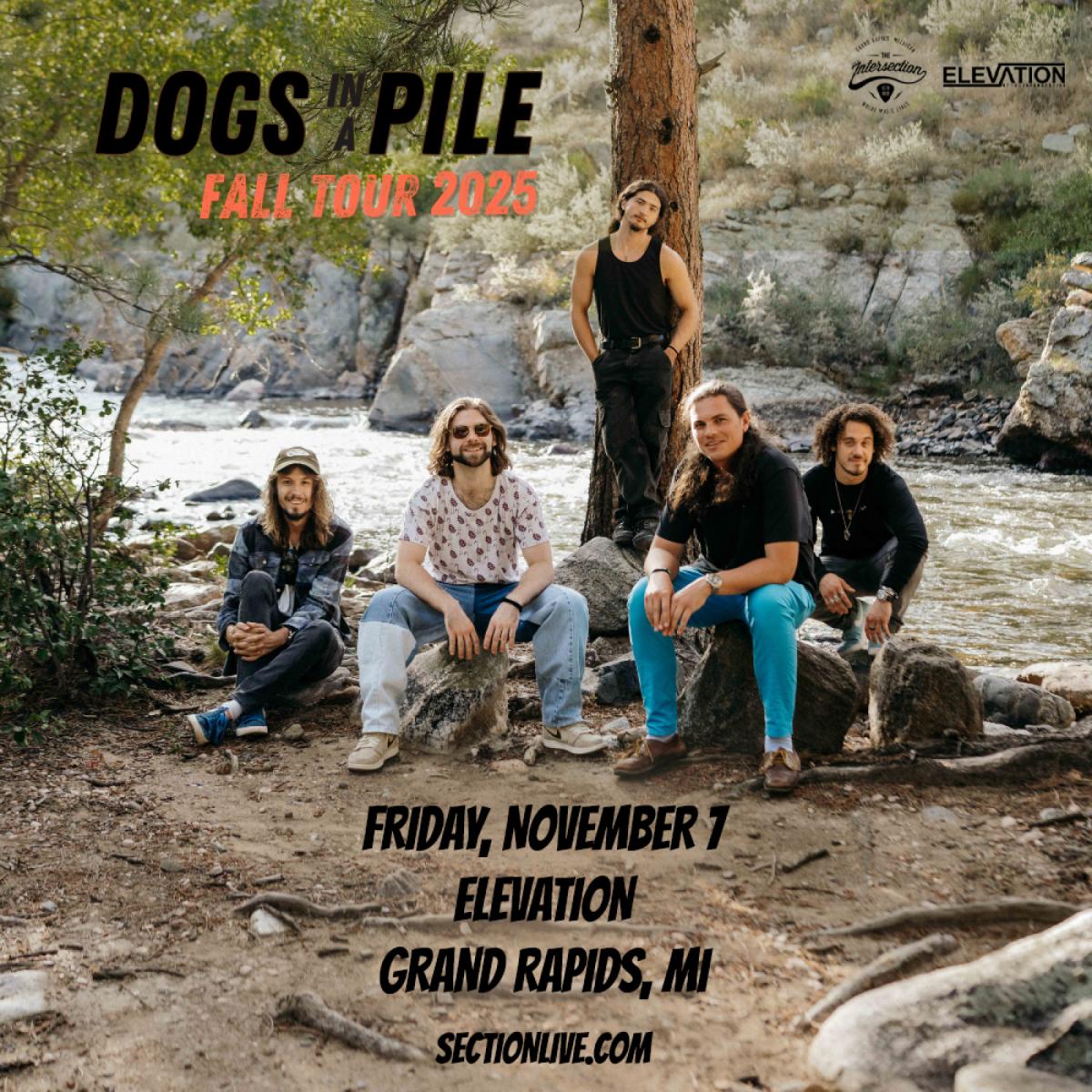 Dogs In A Pile