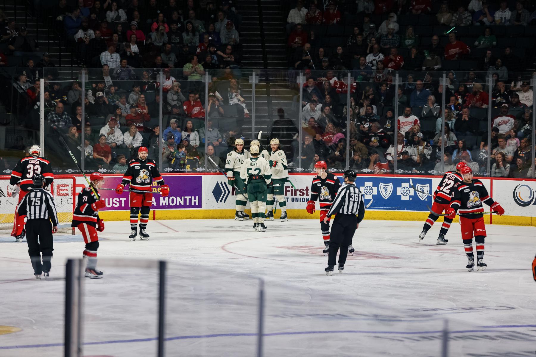Grand Rapids Griffins VS Rockford Icehogs