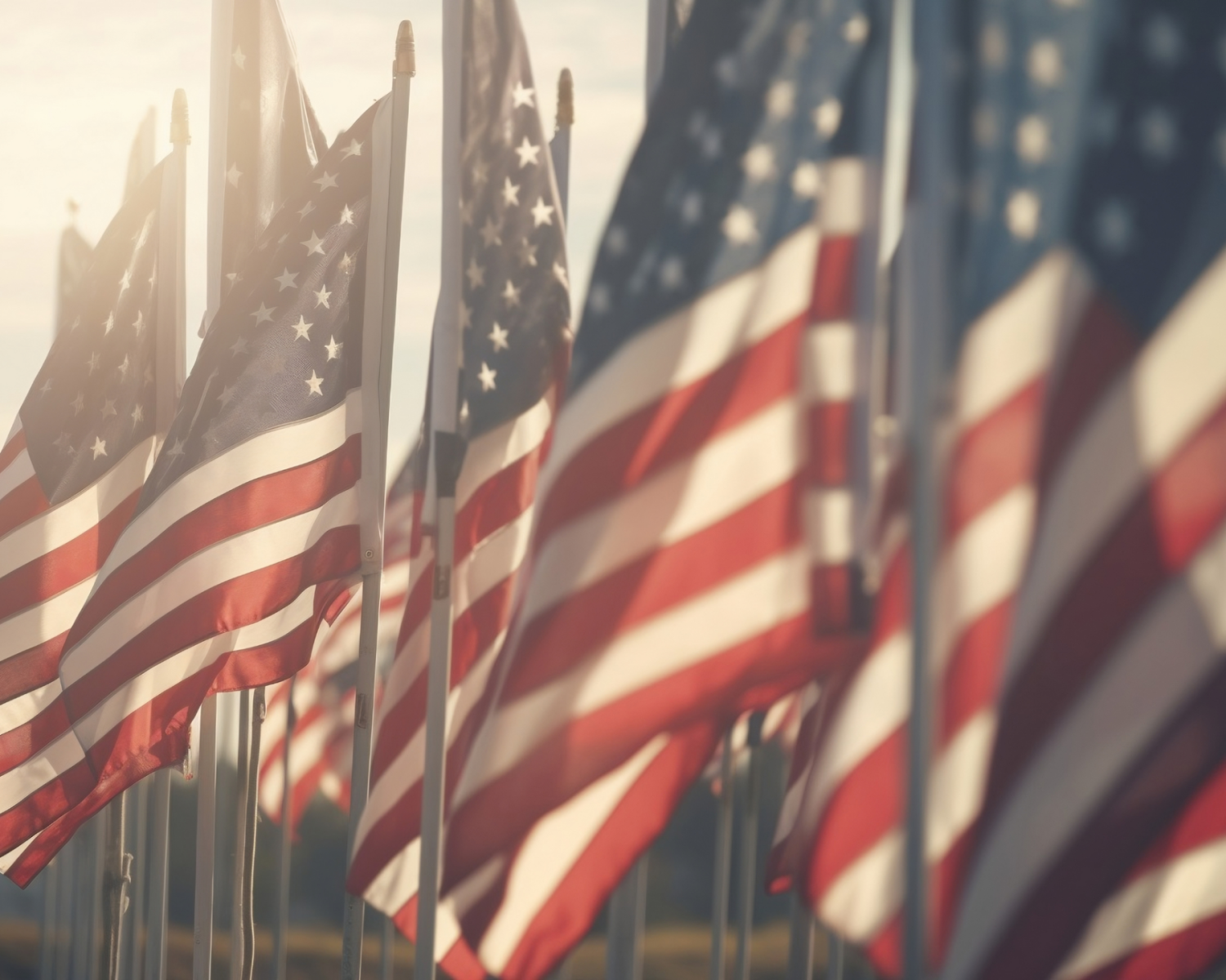 Veterans Day Parade