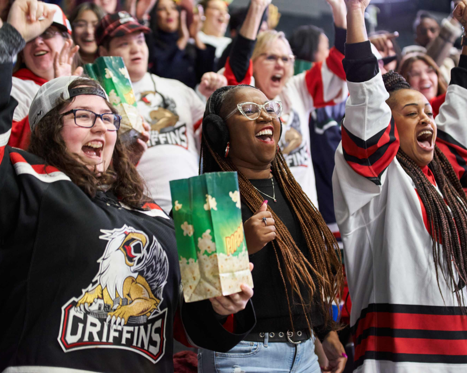 Grand Rapids Griffins vs Toronto Marlies