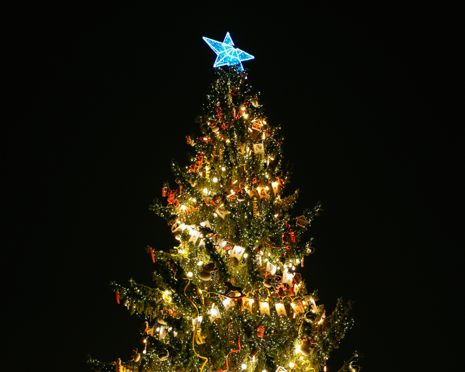 Tree Lighting & Holiday Parade