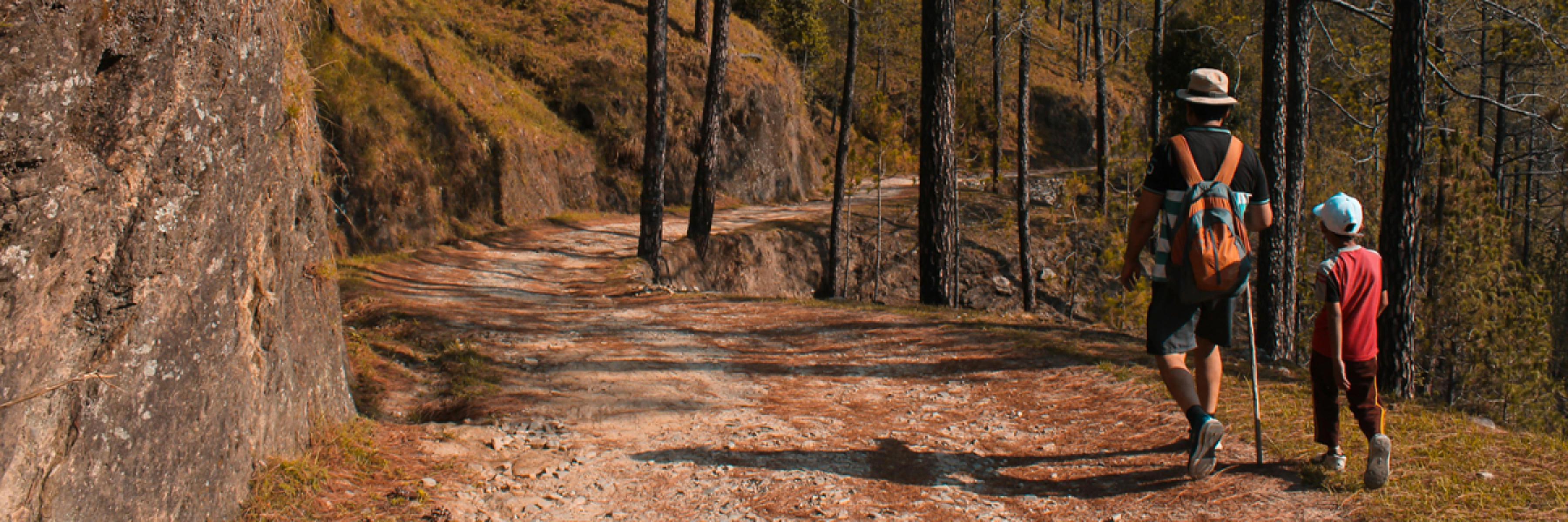Twisted Trails 5K, 10K, and 15K