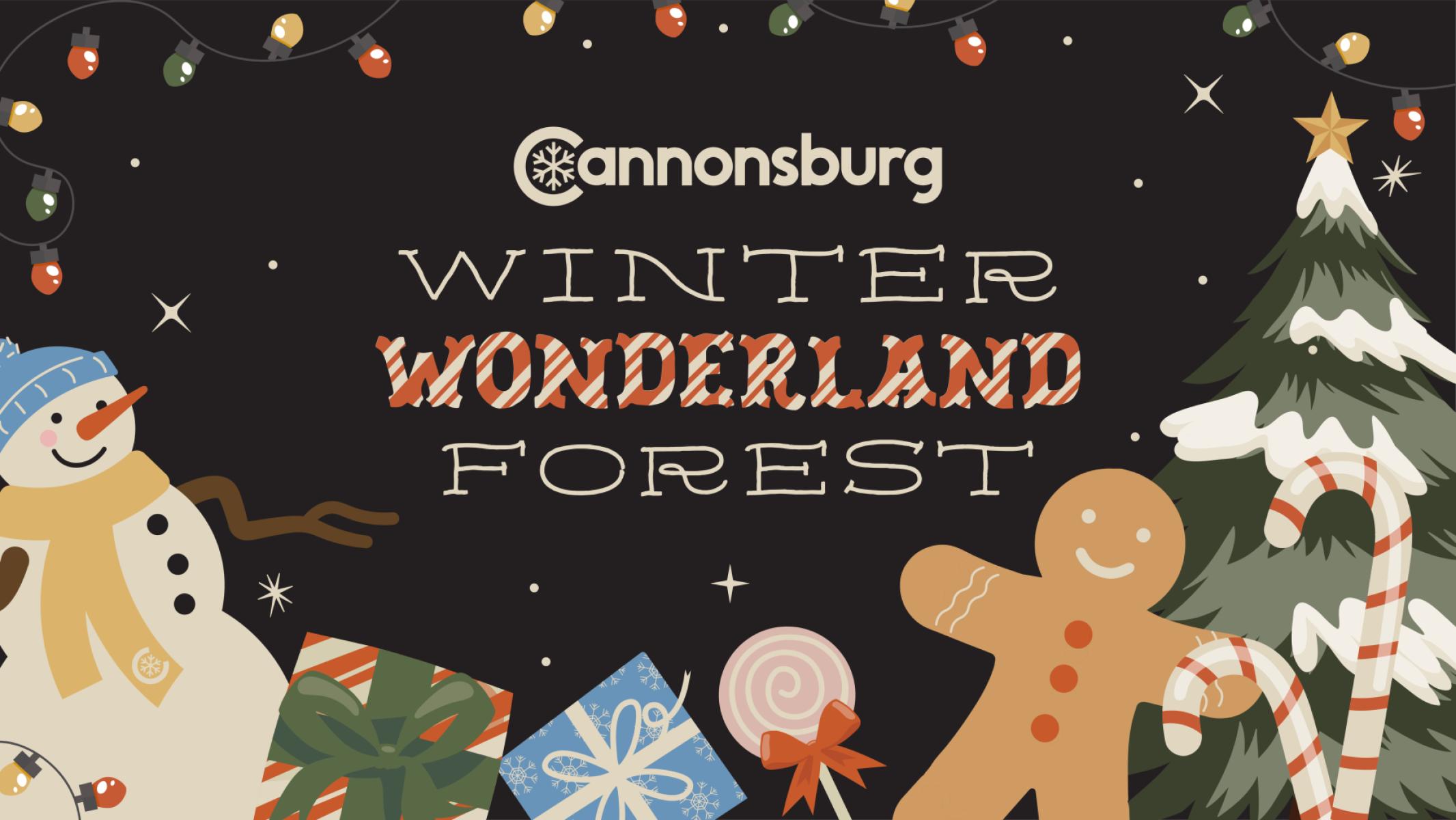 The Winter Forest