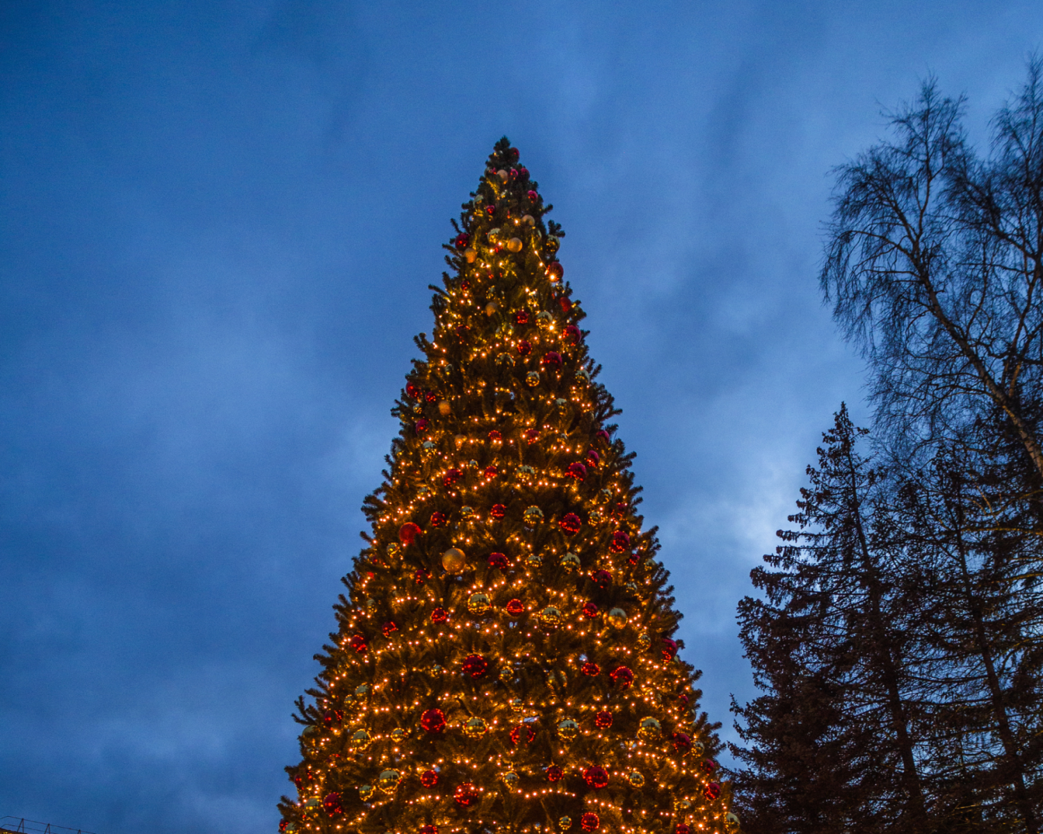 Kentwood Tree Lighting Ceremony