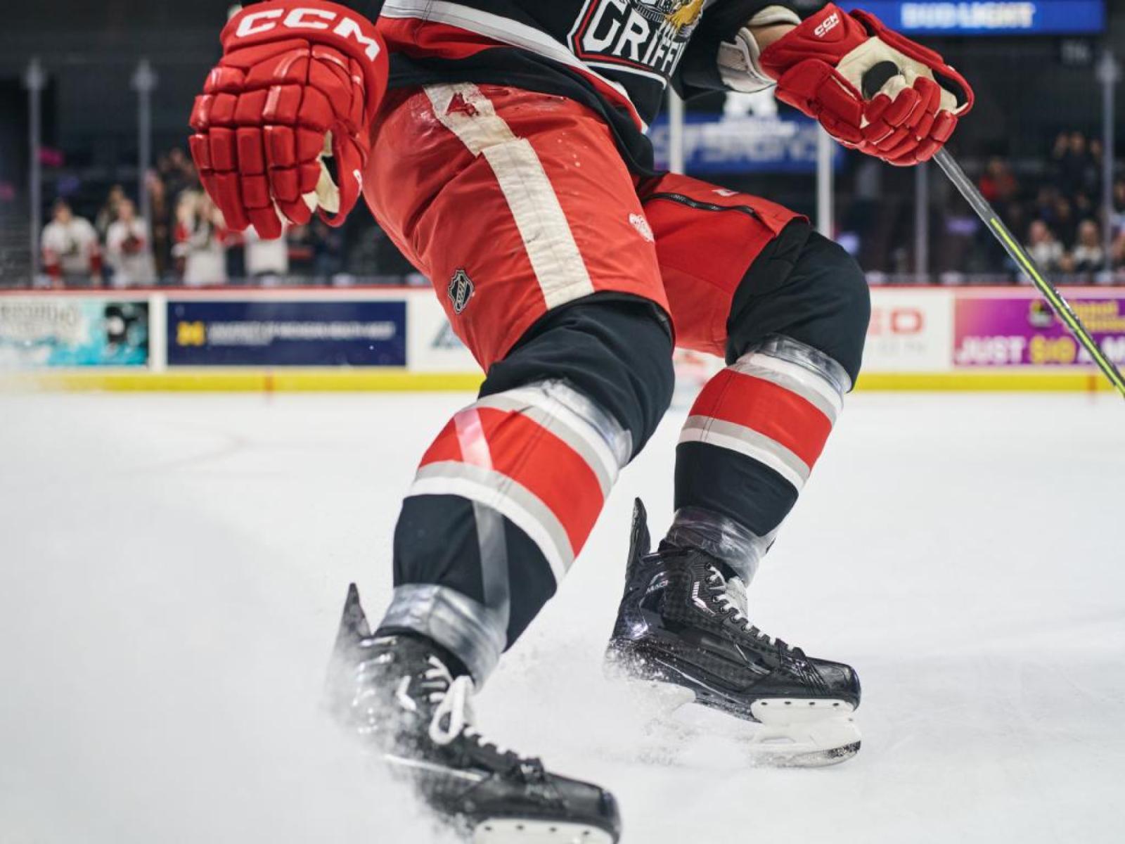 Grand Rapids Griffins VS Iowa Wild