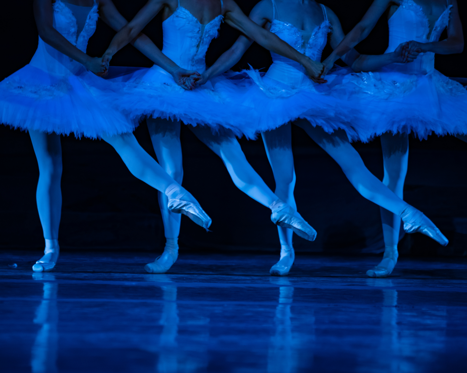 Swan Lake