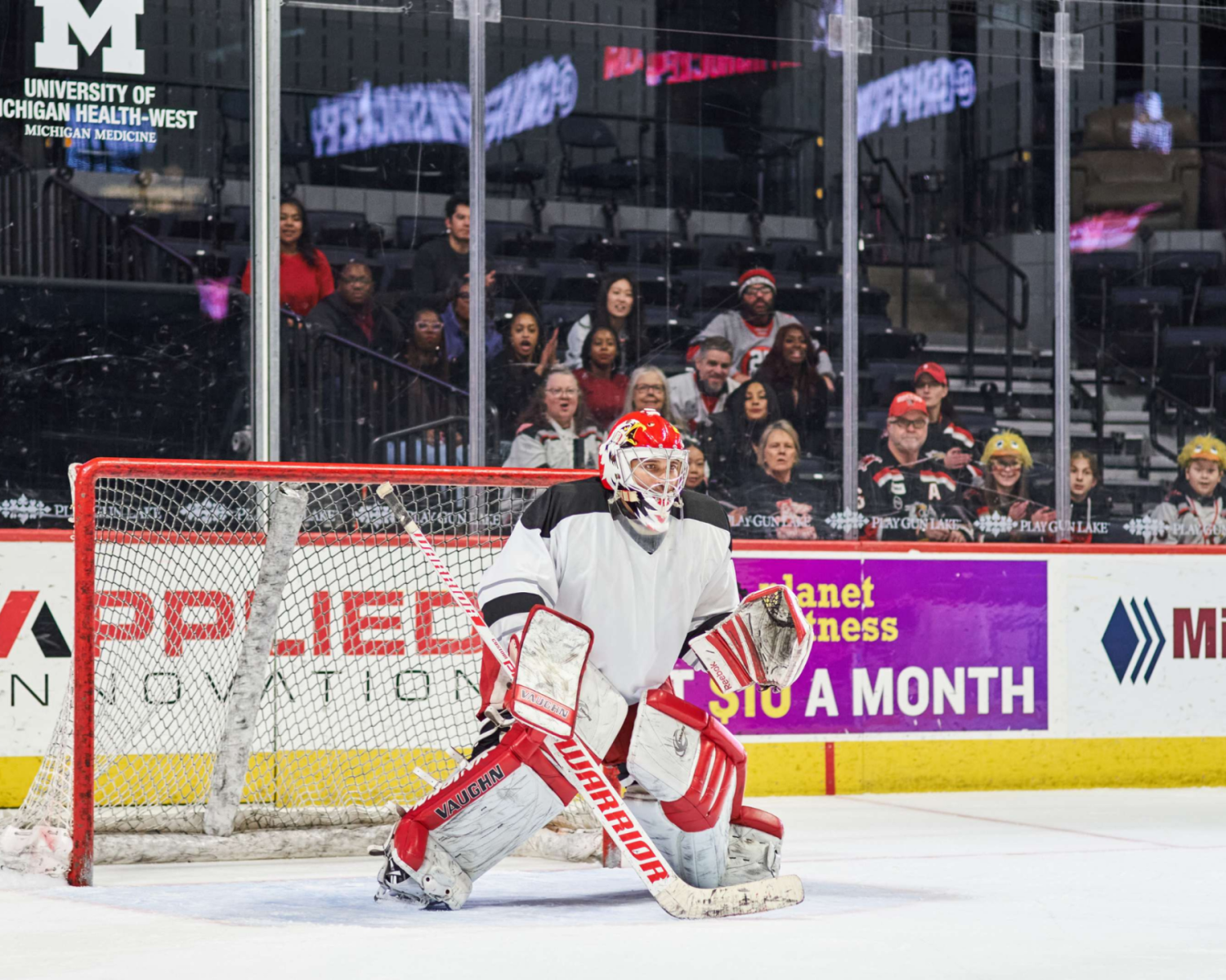 Grand Rapids Griffins vs Chicago Wolves