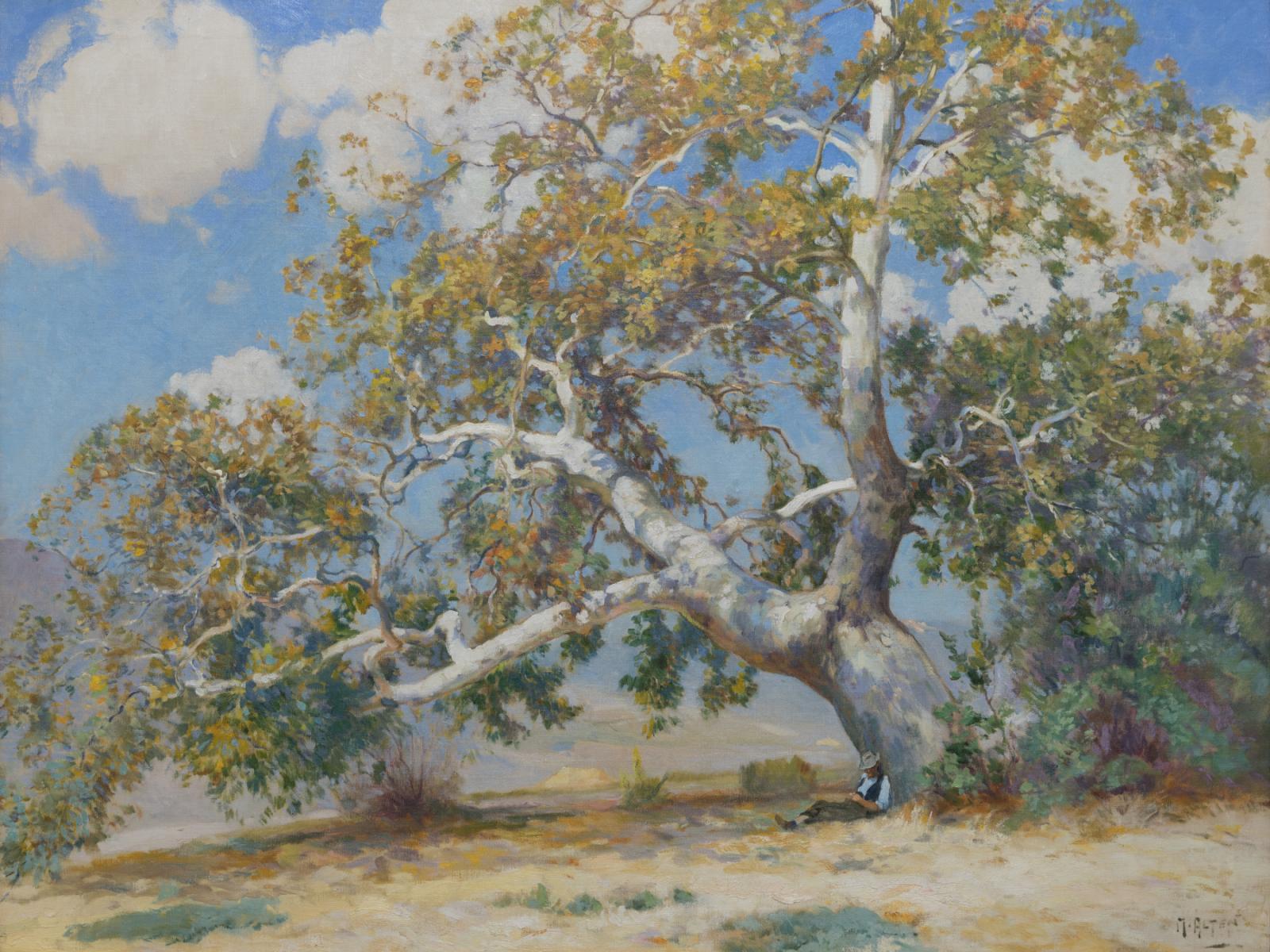 The Matter of Awe: Landscapes in Art