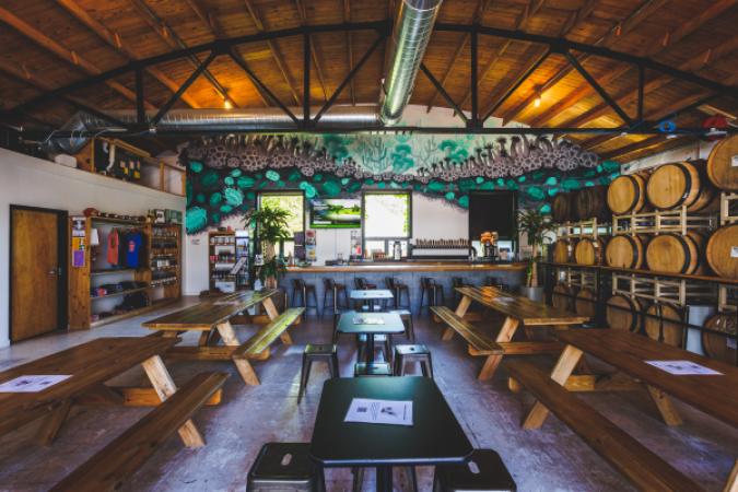 Speciation Cellars