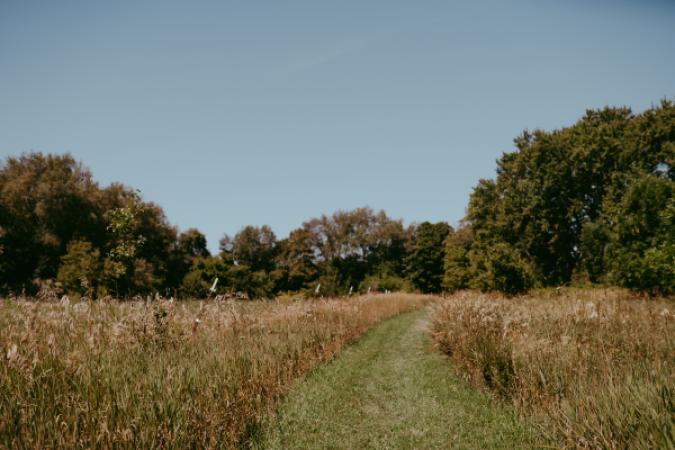 Blandford Nature Center Trails