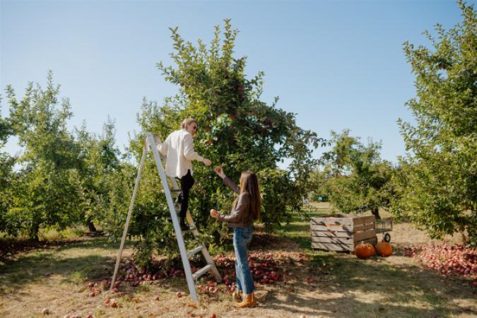 Farmhaus Farms