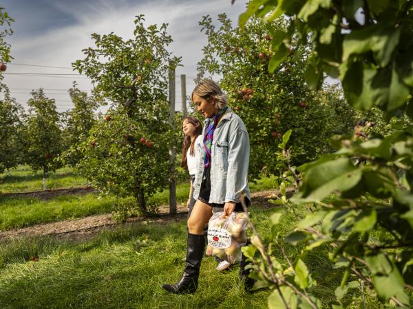 Robinette's Apple Haus & Winery
