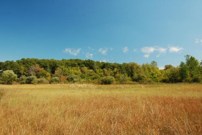 Lamberton Lake Fen Nature Preserve