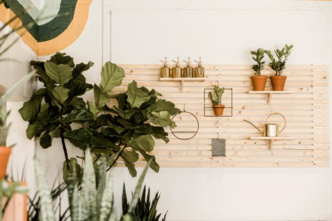 Plant Shop