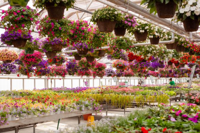 Romence Gardens & Greenhouses