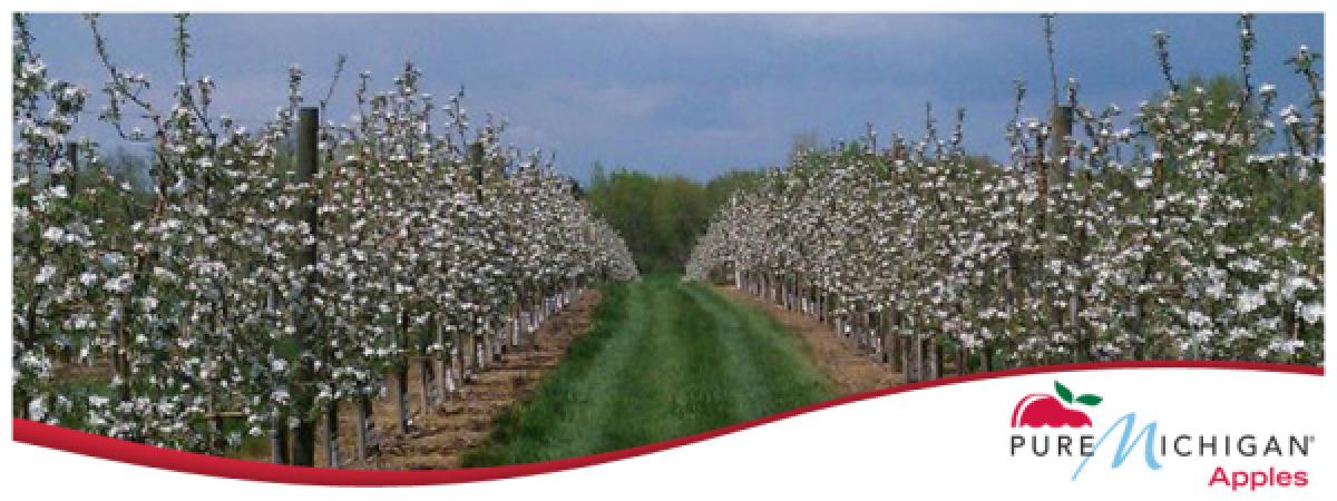 Engelsma's Apple Barn and Cider Mill
