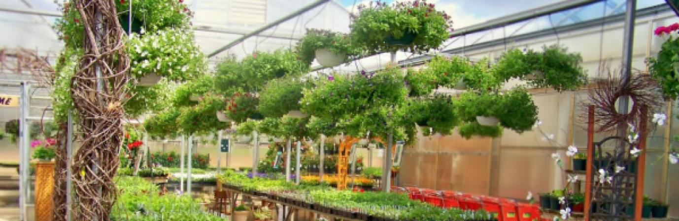 Bos Greenhouse & Farms