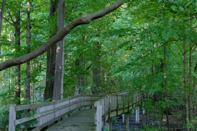 Calvin Ecosystem Preserve & Native Gardens