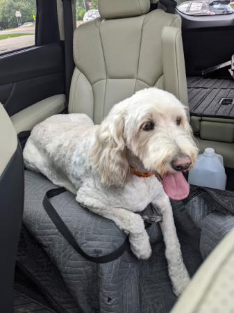 North Bark Pet Grooming