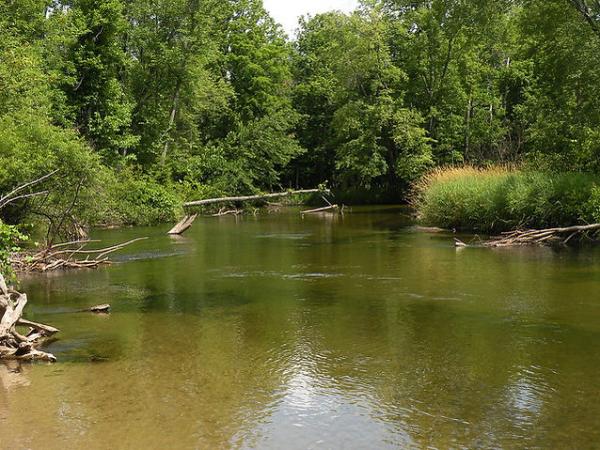 West Michigan Guide Service
