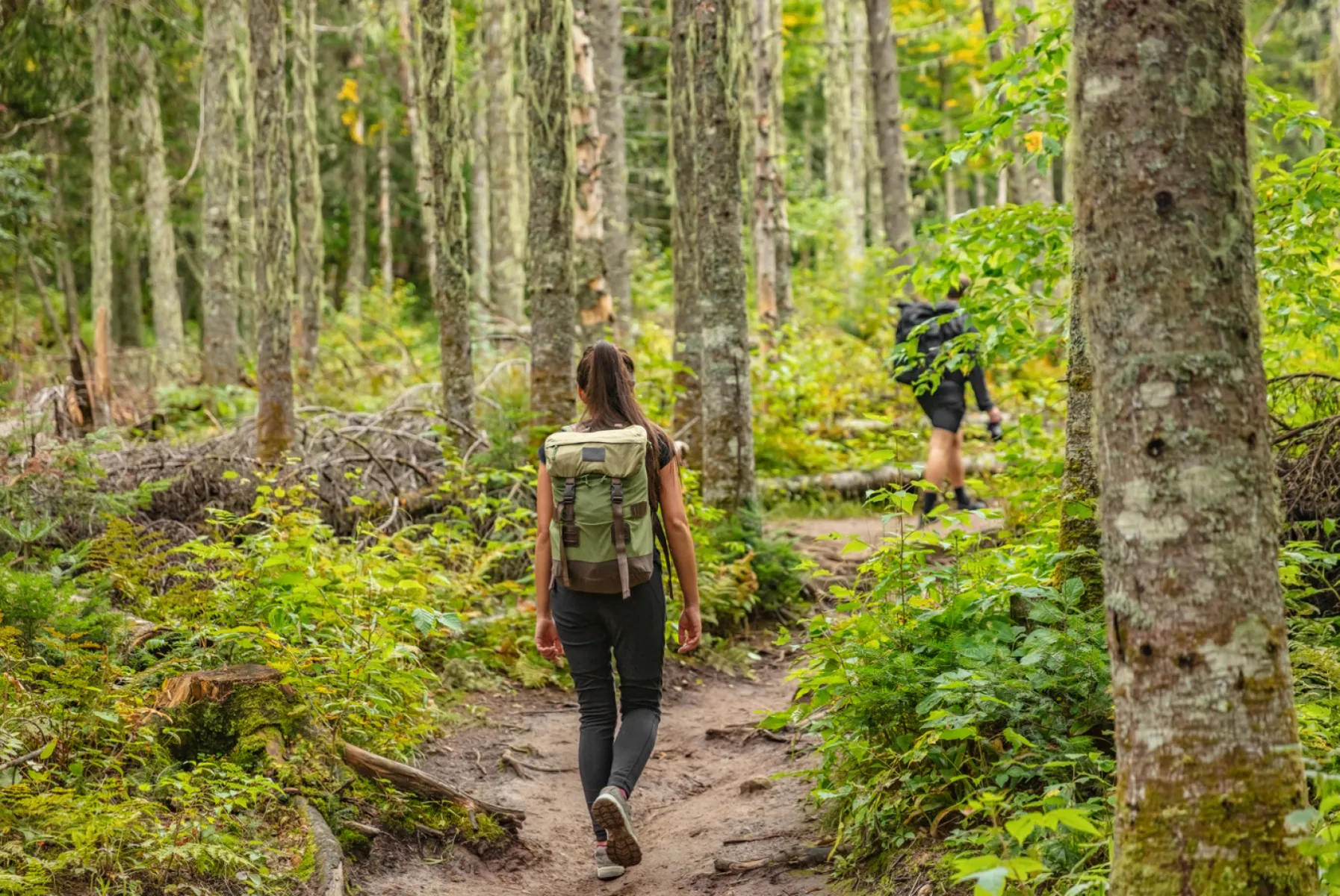 Downtown Hiking & Trails
