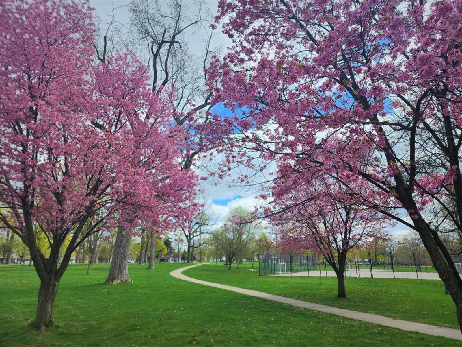 Parks