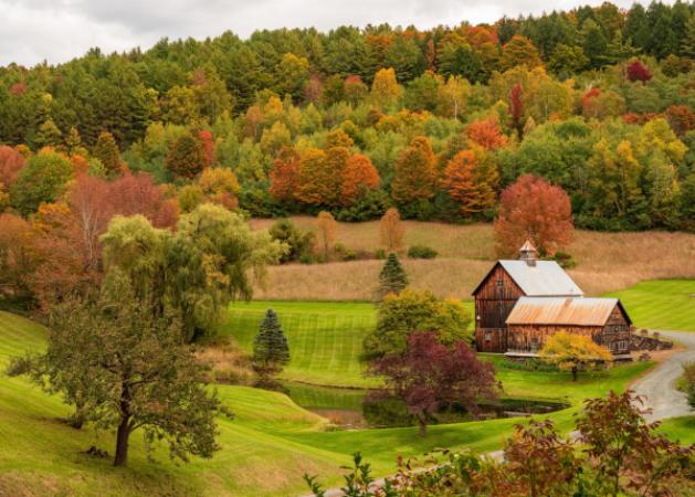Bissell Maple Farm