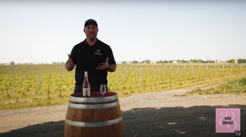 Domaine Labranche