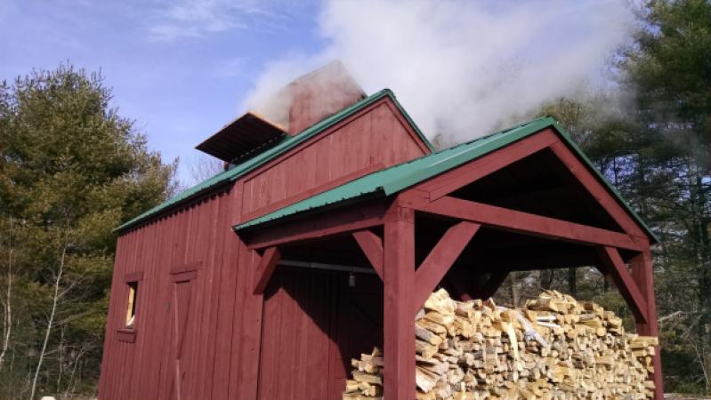 Gray Farm Maple