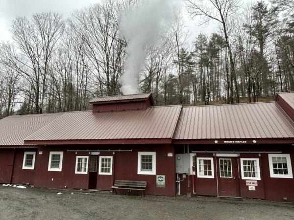 Mitch's Maple