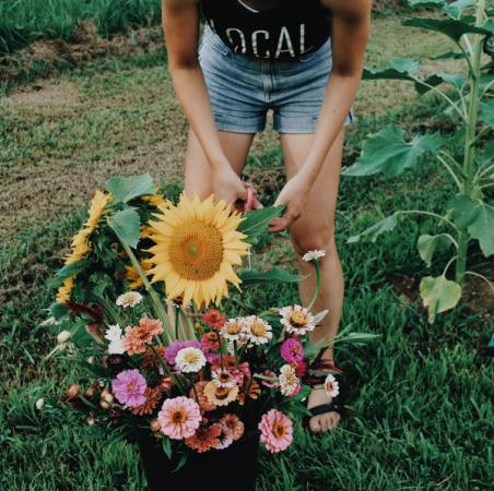 Field + Forage
