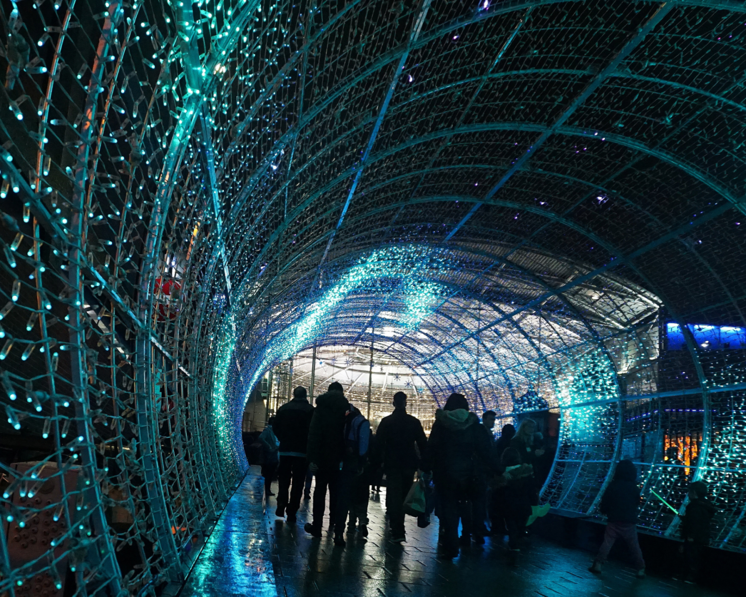 Winter Wonder Walk