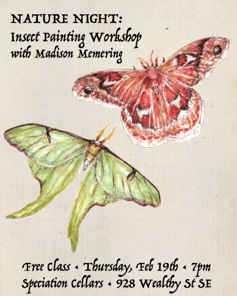 Nature Night: Insect Painting Workshop w/ Madison Memering