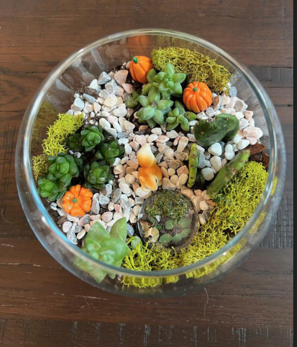 Gathered Botanicals- Terrarium Class with Wild Alocasia